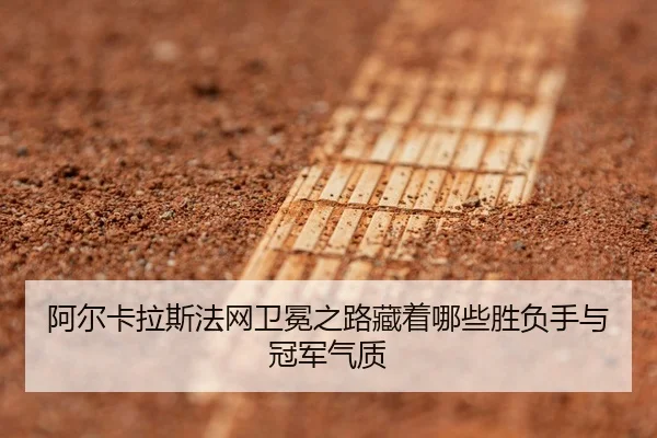 阿尔卡拉斯法网卫冕之路藏着哪些胜负手与冠军气质